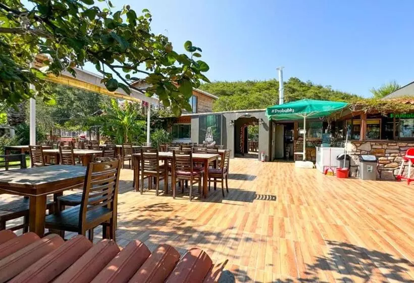 Aamiaismajoitus (B&B) Gaia Bungalow