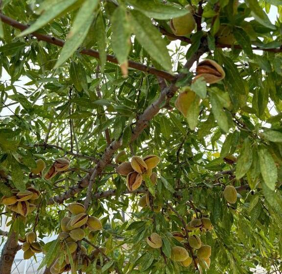 Bed and Breakfast Tenuta Villa Vittoria