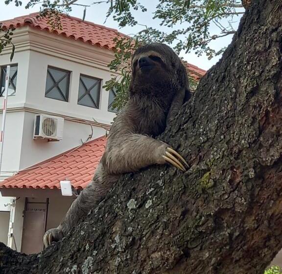Casa Muy Cómoda Santa Cruz