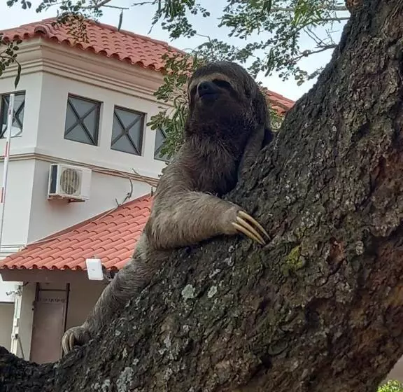 Casa Muy Cómoda Santa Cruz
