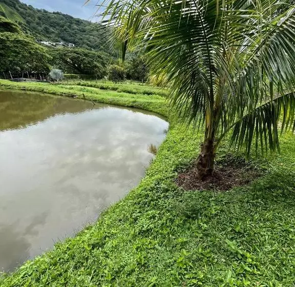 ホテル Campestre Super Piscina Villeta