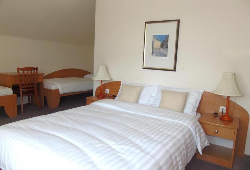 بنسيون Toris Inn