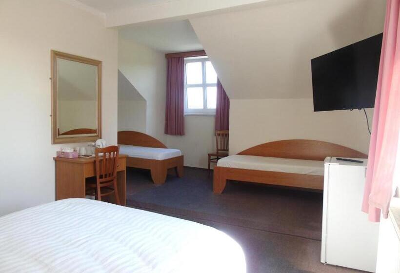 بنسيون Toris Inn