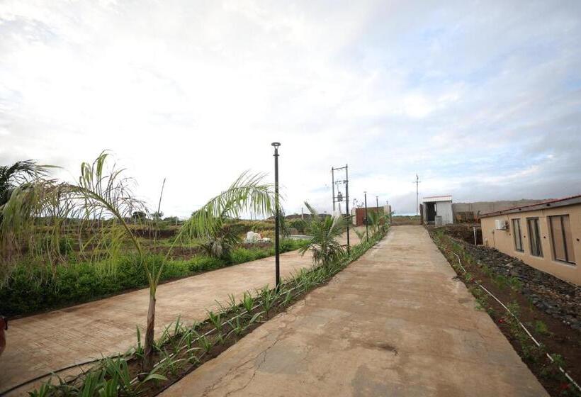 Surya Hill View Resort And Spa