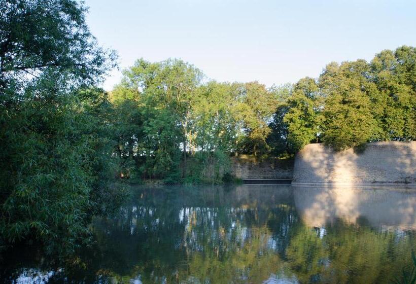 تختخواب و صبحانه Beapart