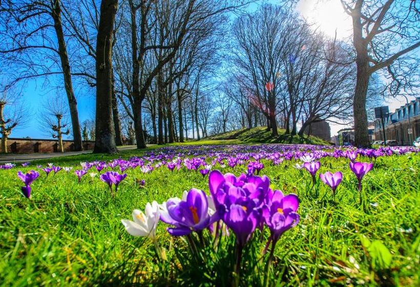 تختخواب و صبحانه Beapart