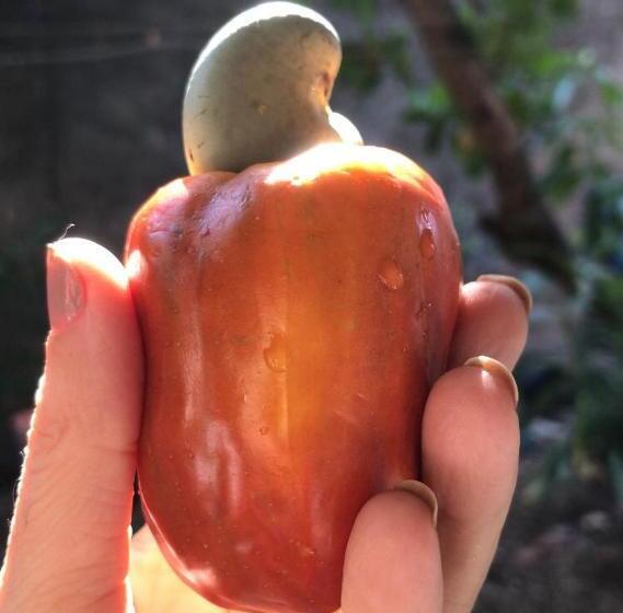 تختخواب و صبحانه Quarto Com Café Da Manhã ótima Localização