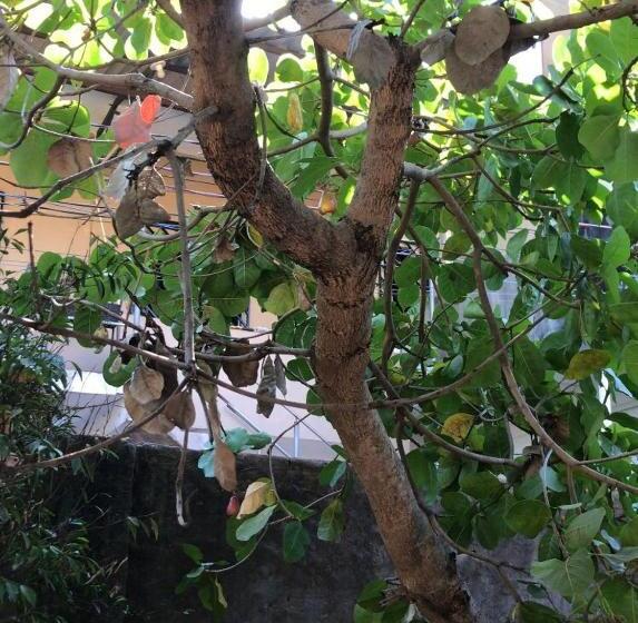 تختخواب و صبحانه Quarto Com Café Da Manhã ótima Localização