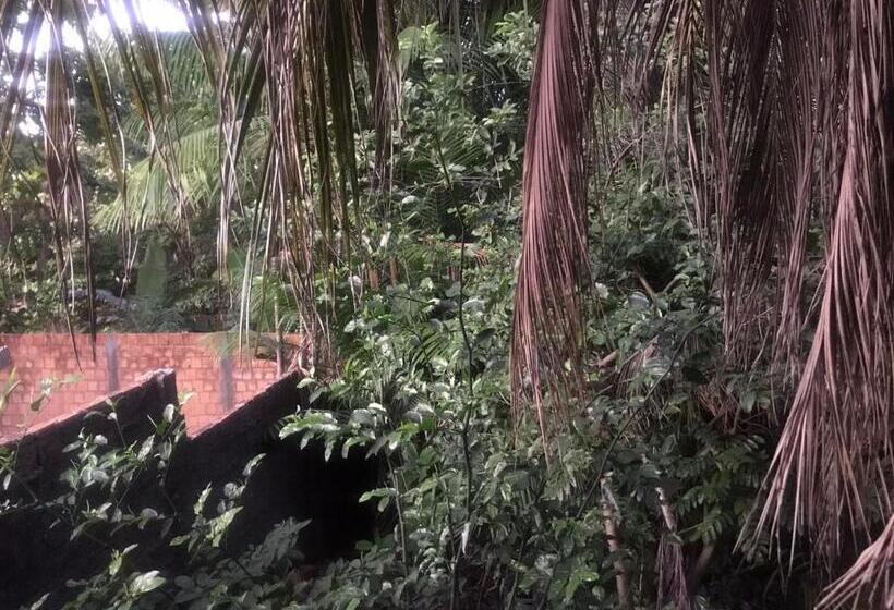 تختخواب و صبحانه Quarto Com Café Da Manhã ótima Localização