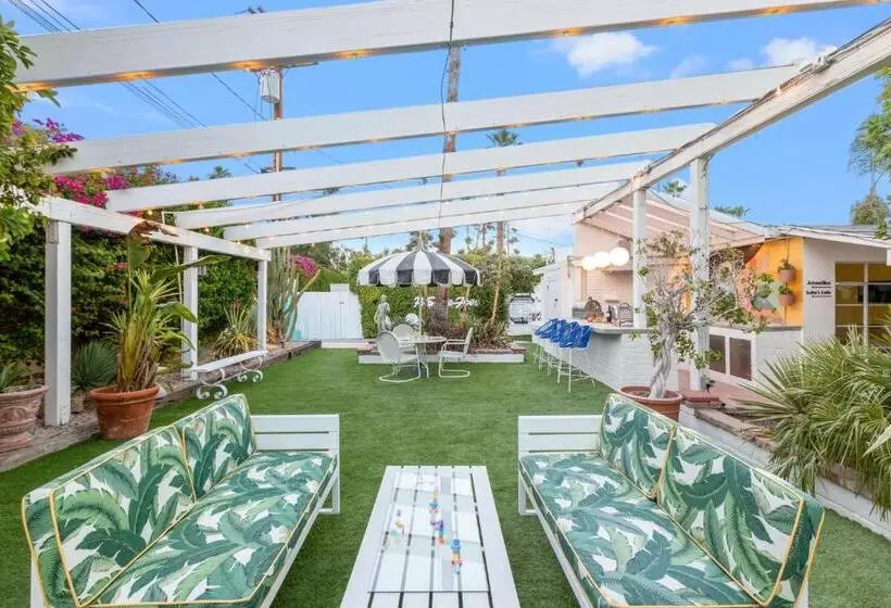 Designer Poolside Hotel In Ps Steam Room Plus Hot Tub