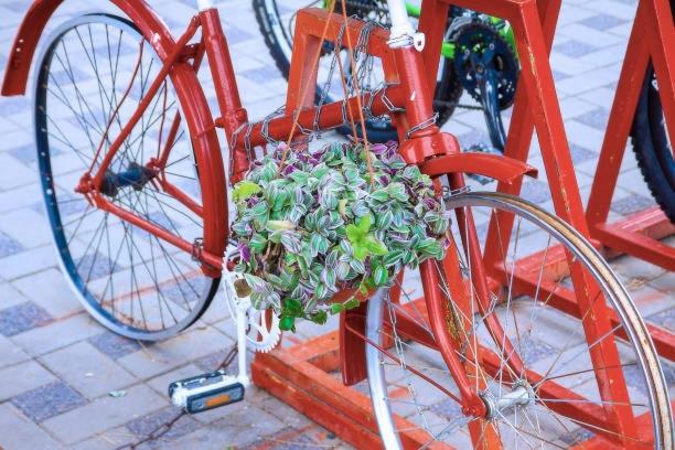 Namaste B&b Wellness & Design