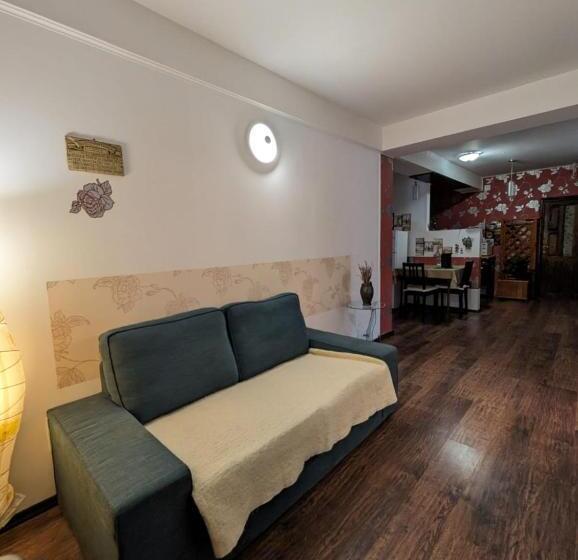 Пансион Casa Helen House, Iasi