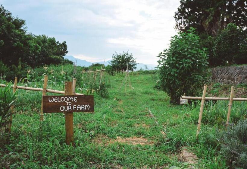 پانسیون ëighten Private Guesthouse Yoga Retreat 1日1組限定古民家宿エイテン