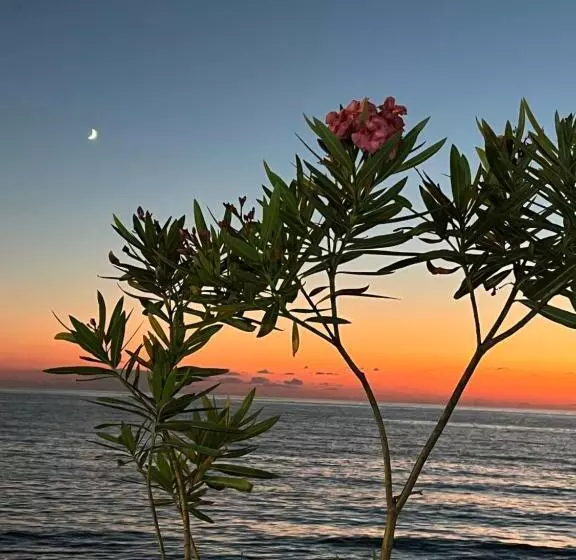 پانسیون Shekvetili Beach
