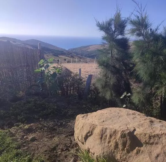 ベッドアンドブレックファースト Darna2