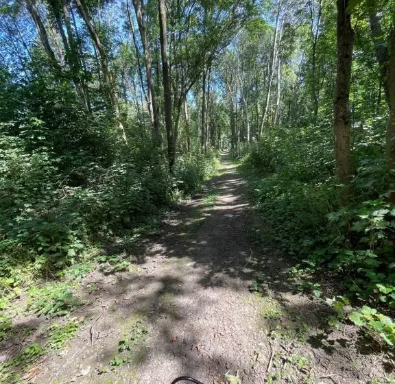 Aamiaismajoitus (B&B) Disneyland Chambre Climatisée Vaires Sur Marne Au Cœur Des Jeux Olympiques