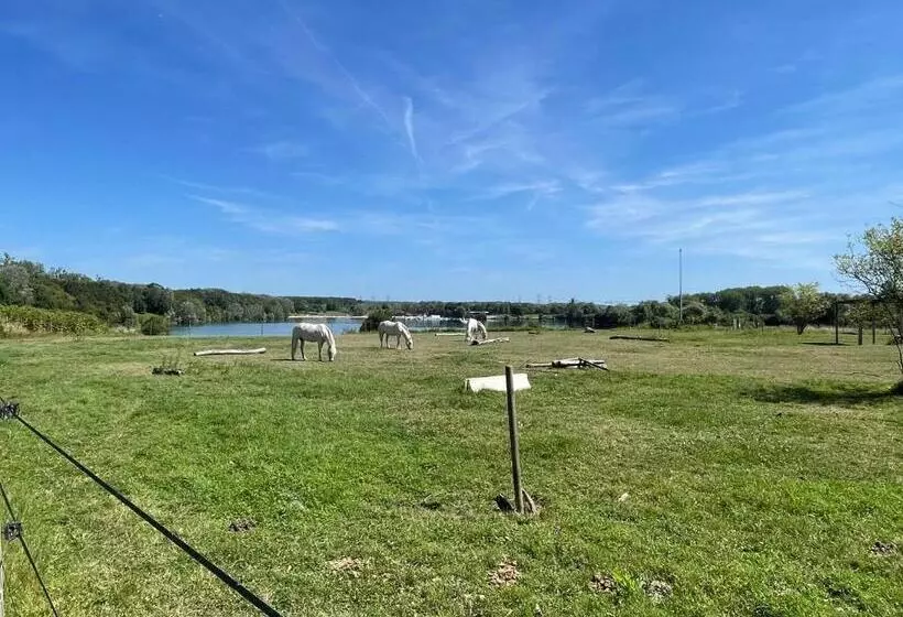 Aamiaismajoitus (B&B) Disneyland Chambre Climatisée Vaires Sur Marne Au Cœur Des Jeux Olympiques