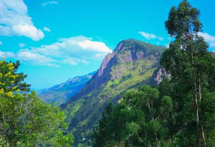 Beyond Nomad Luxury Hostel