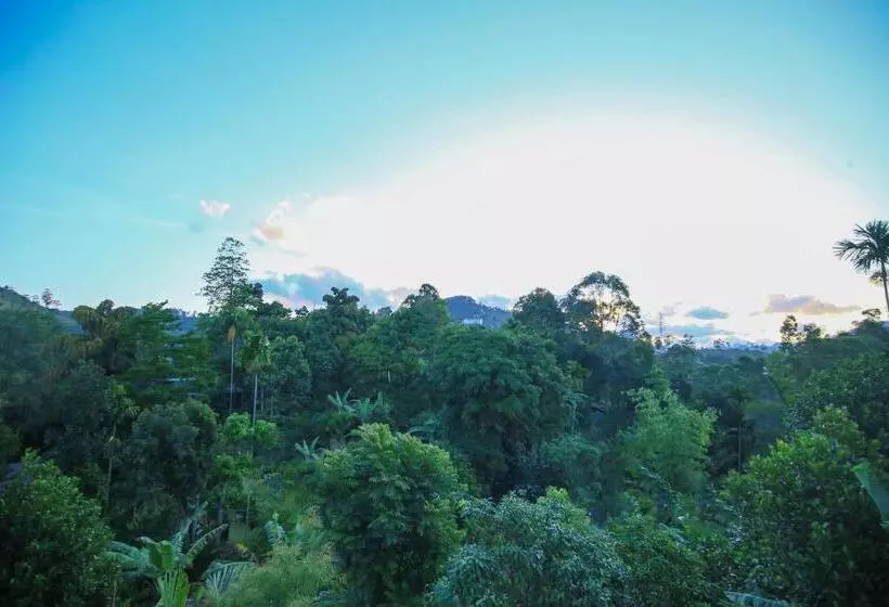 Beyond Nomad Luxury Hostel