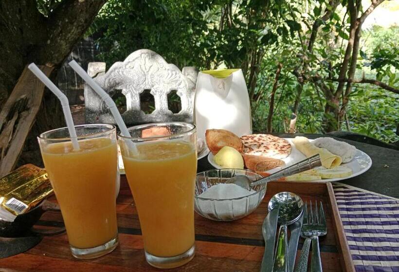 호텔 Banda Eco Villa