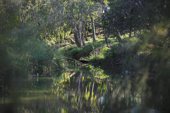 בית מלון כפרי Onera Fredericksburg