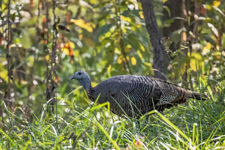 בית מלון כפרי Onera Fredericksburg