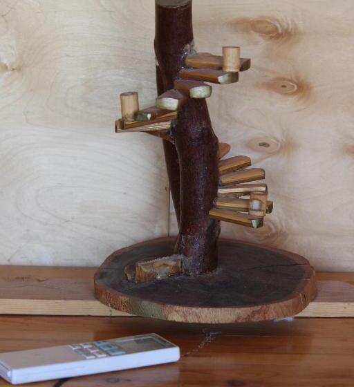 هتل کپسول The Bedouin Life With Eid Ali