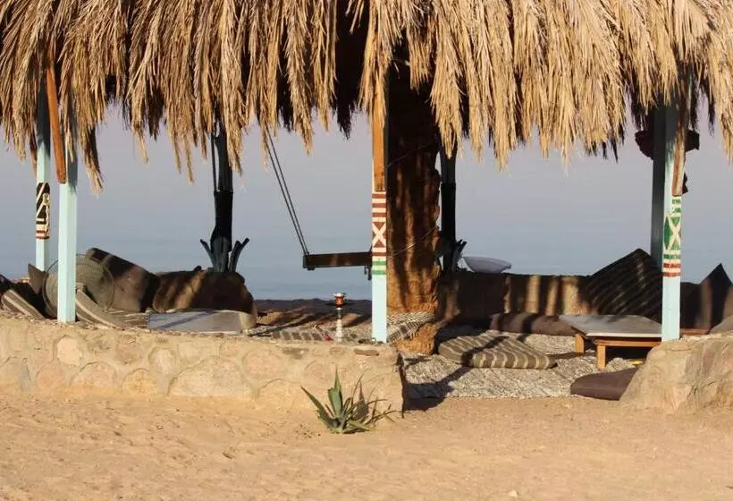 هتل کپسول The Bedouin Life With Eid Ali