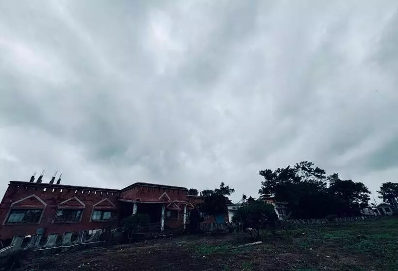 ホテル Royal Villa Resort