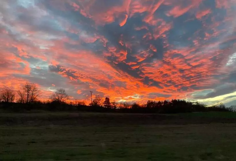 Majatalo Penzion Cholín