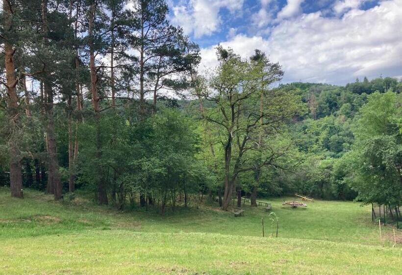 Pensió Penzion Cholín