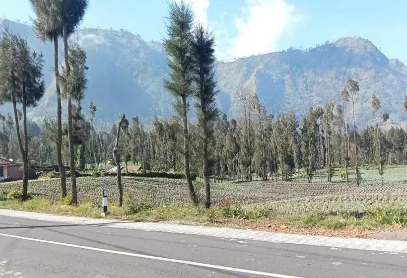 Majatalo Tengger Indah Seruni Bromo