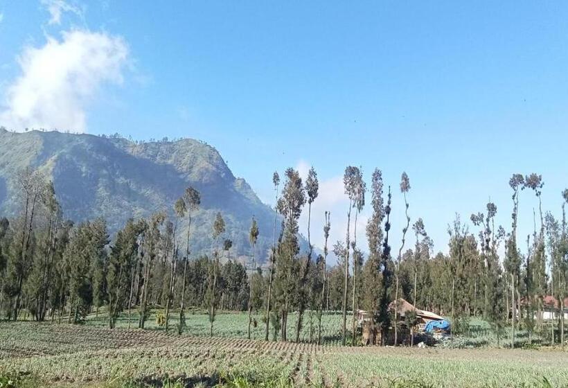 Pensione Tengger Indah Seruni Bromo