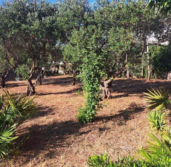 بنسيون Viale Del Sole Le Dimore