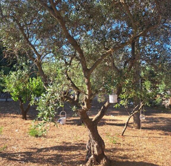 بنسيون Viale Del Sole Le Dimore