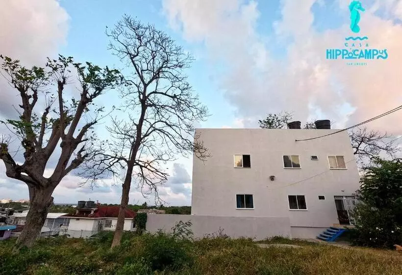 Aamiaismajoitus (B&B) Sukha Hippocampus San Andrés Isla