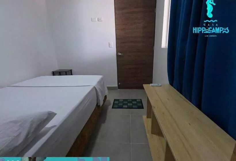 Aamiaismajoitus (B&B) Sukha Hippocampus San Andrés Isla