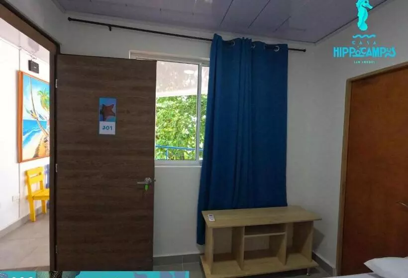 Aamiaismajoitus (B&B) Sukha Hippocampus San Andrés Isla