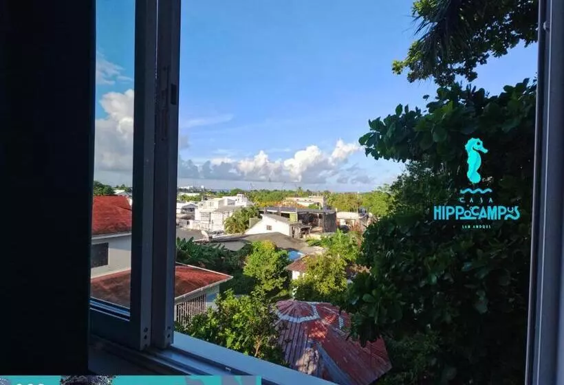 Aamiaismajoitus (B&B) Sukha Hippocampus San Andrés Isla