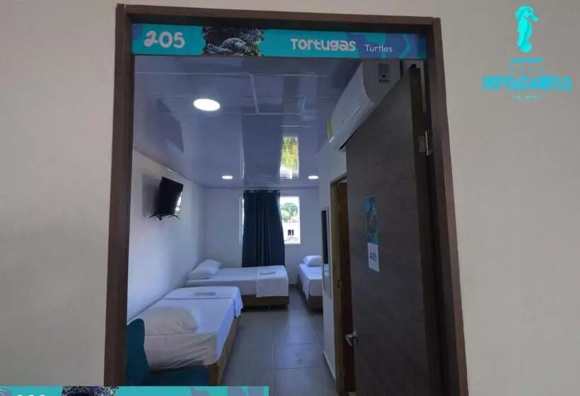 Aamiaismajoitus (B&B) Sukha Hippocampus San Andrés Isla