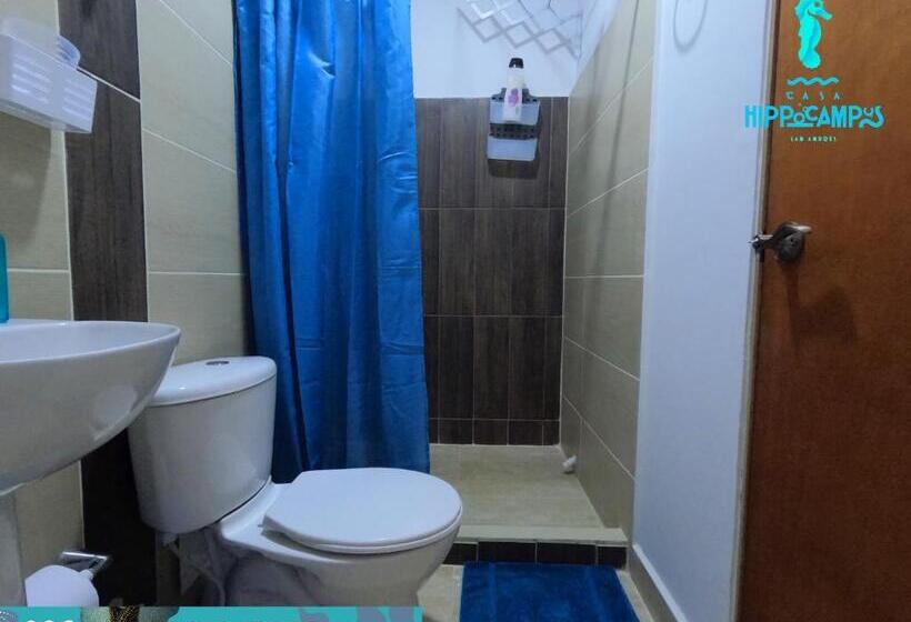 Nocleg ze śniadaniem Sukha Hippocampus San Andrés Isla