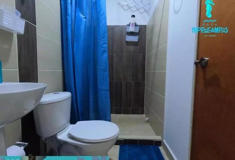 Aamiaismajoitus (B&B) Sukha Hippocampus San Andrés Isla