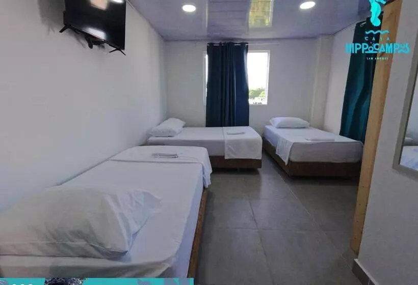 Aamiaismajoitus (B&B) Sukha Hippocampus San Andrés Isla