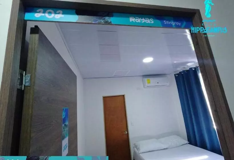 Aamiaismajoitus (B&B) Sukha Hippocampus San Andrés Isla