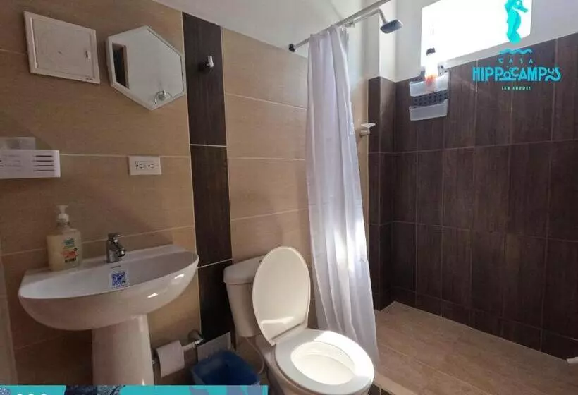 Aamiaismajoitus (B&B) Sukha Hippocampus San Andrés Isla