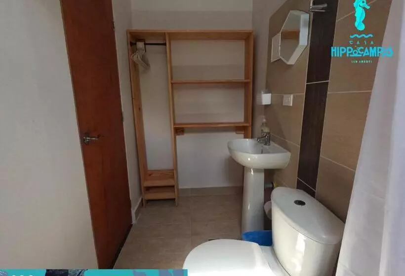Aamiaismajoitus (B&B) Sukha Hippocampus San Andrés Isla