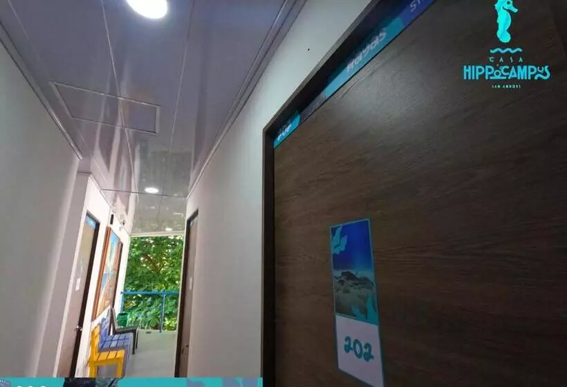 Aamiaismajoitus (B&B) Sukha Hippocampus San Andrés Isla