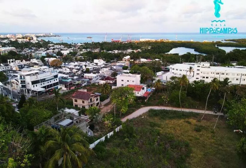 Aamiaismajoitus (B&B) Sukha Hippocampus San Andrés Isla