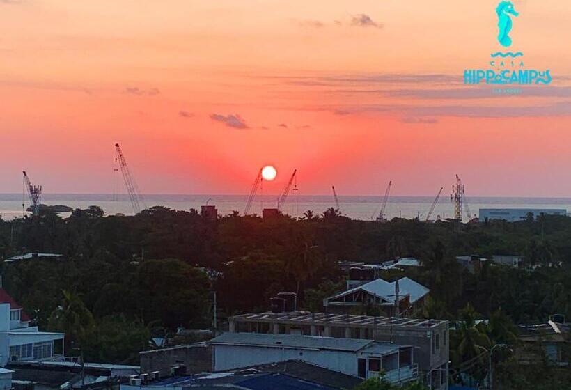 Nocleg ze śniadaniem Sukha Hippocampus San Andrés Isla