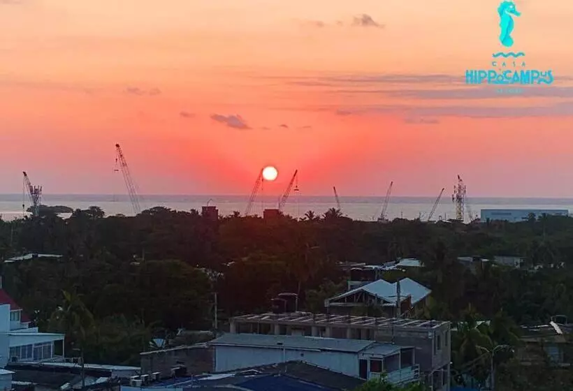 Aamiaismajoitus (B&B) Sukha Hippocampus San Andrés Isla